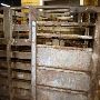 Navasota Livestock Auction