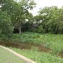 Old Millican Rd. Bridge