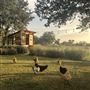 Stone Home Ranch