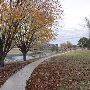 Hancock Park
