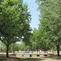 Miles City Park