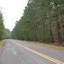 Lake Livingston State Park