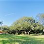 Bauchman House