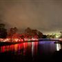 Festival of Lights