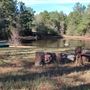 Scottsville Property
