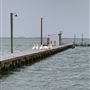 The Sanctuary at Rockport