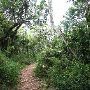 Sabal Palm Sanctuary