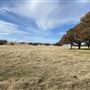 Fairlea Longhorn Ranch