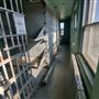 Young County Jail