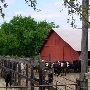 Maysel Ranch