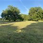 Shirttail Creek Farm