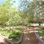 Clark Gardens Botanical Park