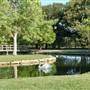 Clark Gardens Botanical Park