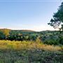 Kestrel Ranch