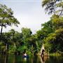 Neches River Shoreline