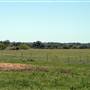 Alpha Omega Longhorn Ranch