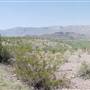 Big Bend National Park - Santa Elena Canyon