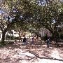Texas State University