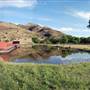 CF Ranch