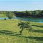 1847 Farm and Ranch