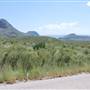 Big Bend National Park