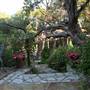 Cedars on the Brazos Bed & Breakfast