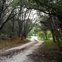 Cedars on the Brazos Bed & Breakfast
