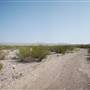 Terrain West of Terlingua