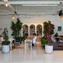 Eden Plant Co.