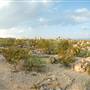 Terlingua Ghost Town