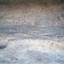 Big Bend Ranch State Park - Boulder with Pictograph