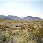 Big Bend Ranch State Park - Agua Adentro