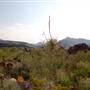 Big Bend Ranch State Park