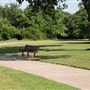 Deaver Park