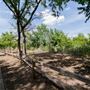 Dr. Robert Cluck Linear Park