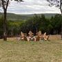 Berriochoa Property - Falcon's Nest