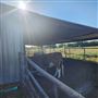 Braley Ranch