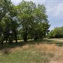 Kelley Park