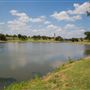 Richard Greene Linear Park