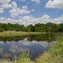 Sheri Capehart Nature Preserve