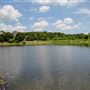 Sheri Capehart Nature Preserve