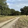 Fairlea Longhorn Ranch