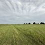 Fairlea Longhorn Ranch