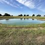 Fairlea Longhorn Ranch