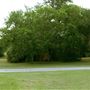 Hensel Park