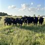 K-Hill Ranch