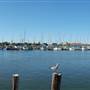 Rockport Harbor