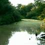 Mineola Nature Preserve
