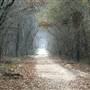 Mineola Nature Preserve