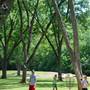 Pecan Acres Park
